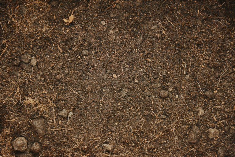 The soil remembers.