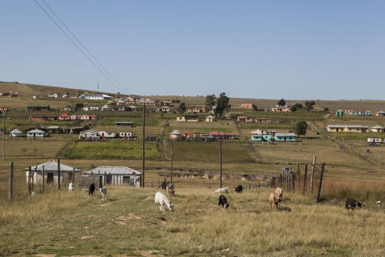 Community Voices: Climate Impacts on Water and Livelihoods