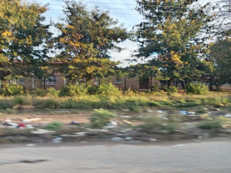 When the taps run dry: How water throttling is affecting the Thabong community